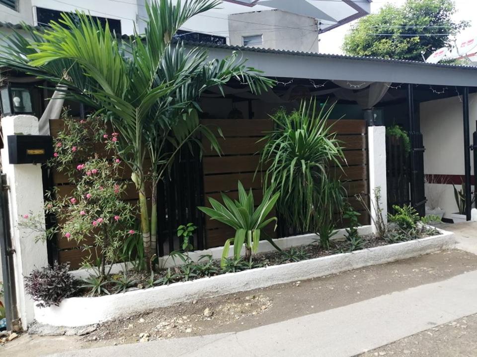 מקטאן Cozy Inn Mactan מראה חיצוני תמונה